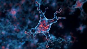 multi-receptor peptides